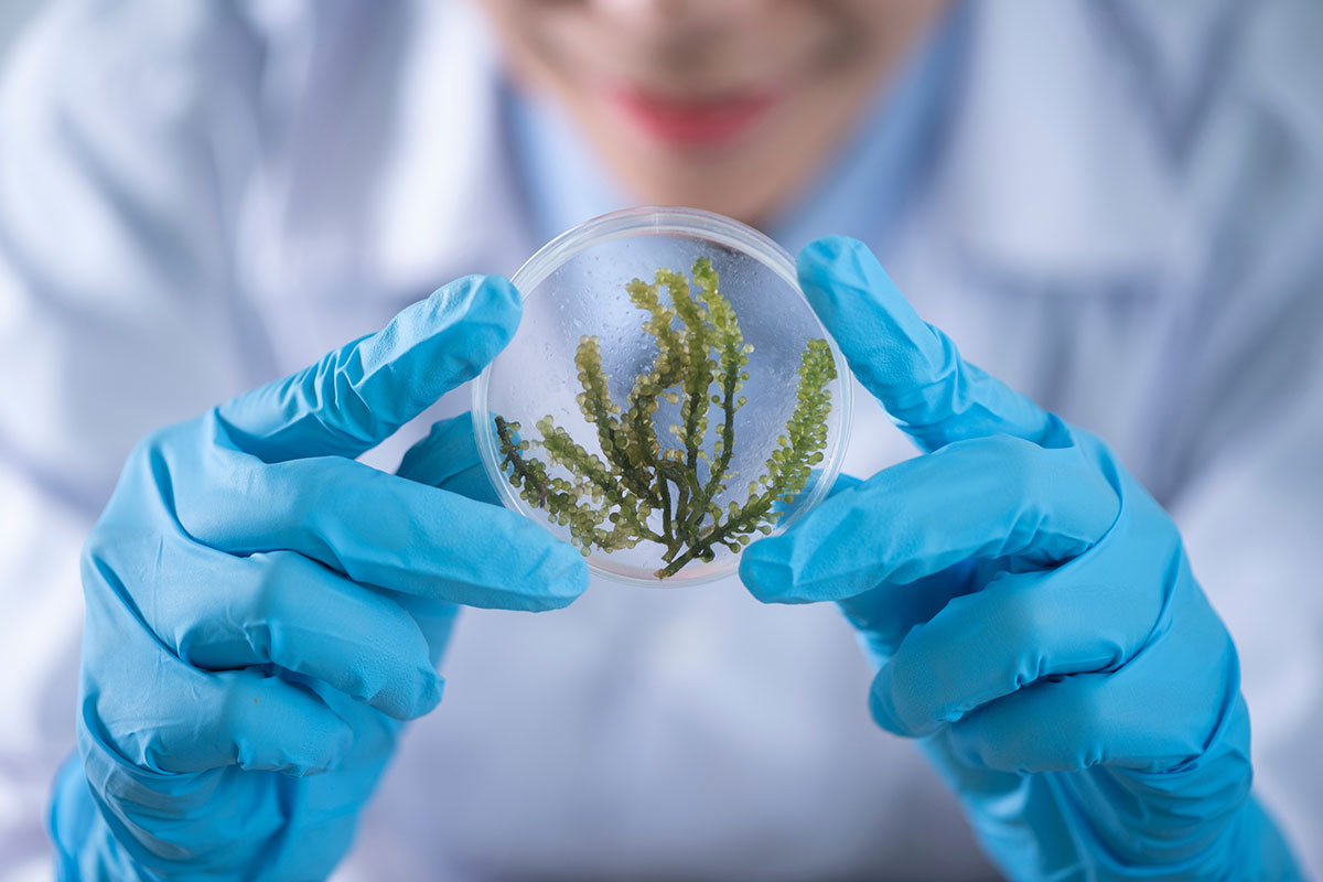 Read more about the article Latest Innovation in modern molecular Biology 2023